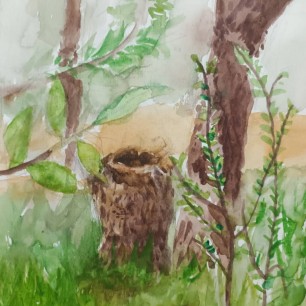 "Уголок природы"