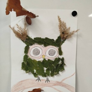 Сова