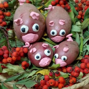 Поросятки на грядке