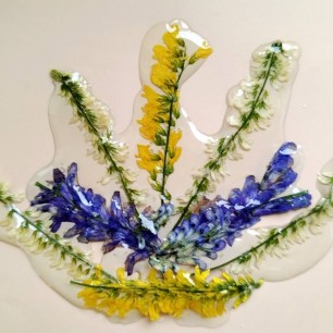 "Цветочные фантазии"