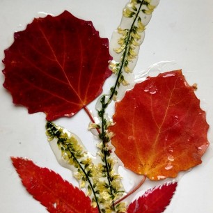 "Краски осени"