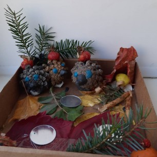 Ёжики на прогулке