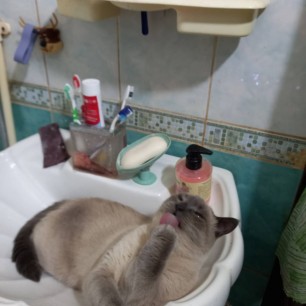 "Утро начинается"