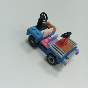 двухрулевой автомобиль