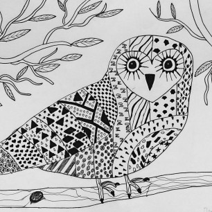 Удивленная Сова