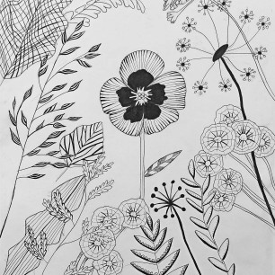 Полевые растения