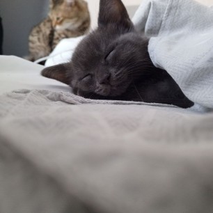 "Уютный вечер"