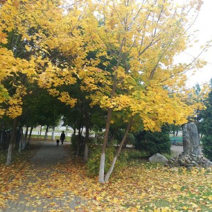 Осенняя прогулка