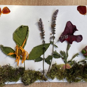 «Осенняя фантазия»