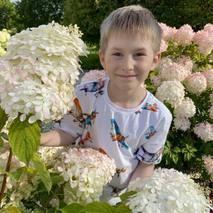 Пушистые гортензии