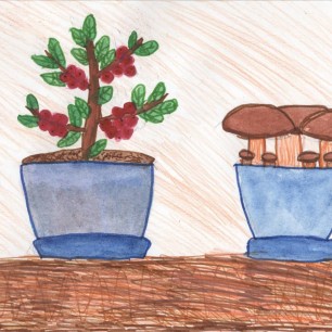 "Грибочки-Ягодки"