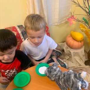 домашние животные
