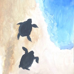 "Морские черепашки"