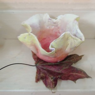 Чашка"Осенние цветок"