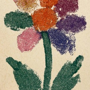 Аutumn flower