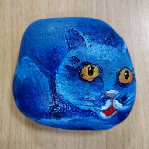 «Волшебный кот»