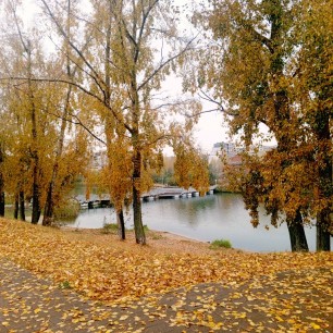 Золотая осень