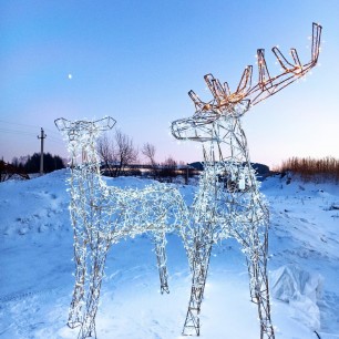 Молодые олени