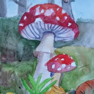 Мухоморчики