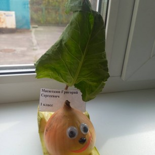 Весёлое путешествие