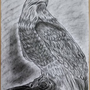 Орел