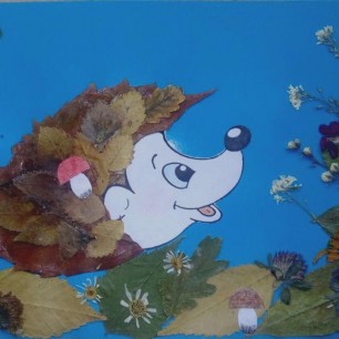 Ёжик на полянке