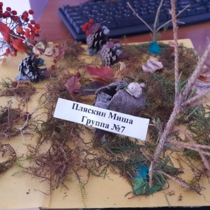 Осенняя полянка