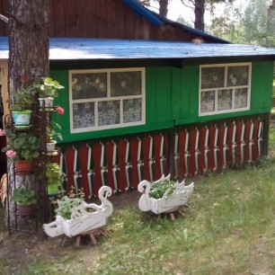 Украшение двора- цветы