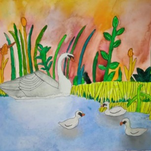 Лебединая семья