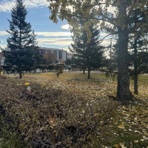 Поздняя осень