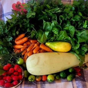 "У меня ли в огороде..."