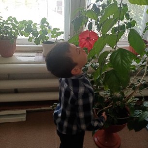 прикосновение к прекрасному