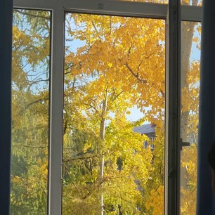 За окном золотая осень