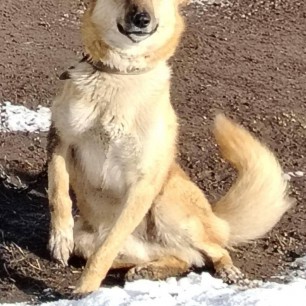 Благодарная улыбка