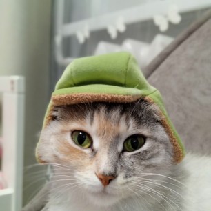 Моя зеленоглазая Эва