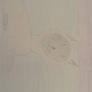 Кот Гоша