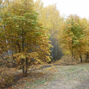Тихая осень