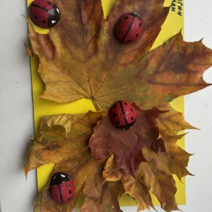 «Божьи коровки»