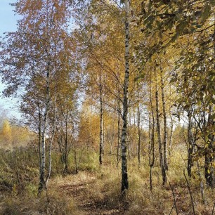 "Осенний пейзаж"