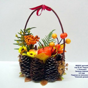 Осенний урожай