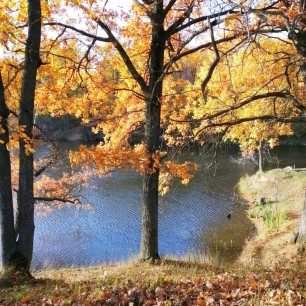 Красавица осень