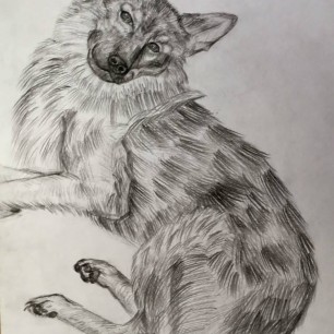 "Мой пес"