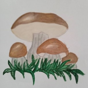 "Грибная семейка"