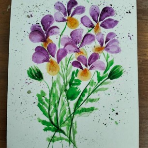 Анютины глазки