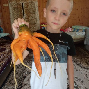 Хозяин сада удивил, "Чужого" в грядку посадил.