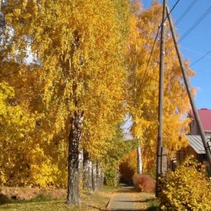 "Золотая осень в нашем городе"