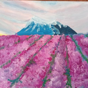 Лавандовое поле