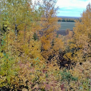 Золотые краски осени