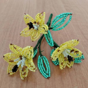 "Лилии для Лилии"