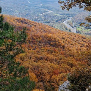 Осенний лес в горах
